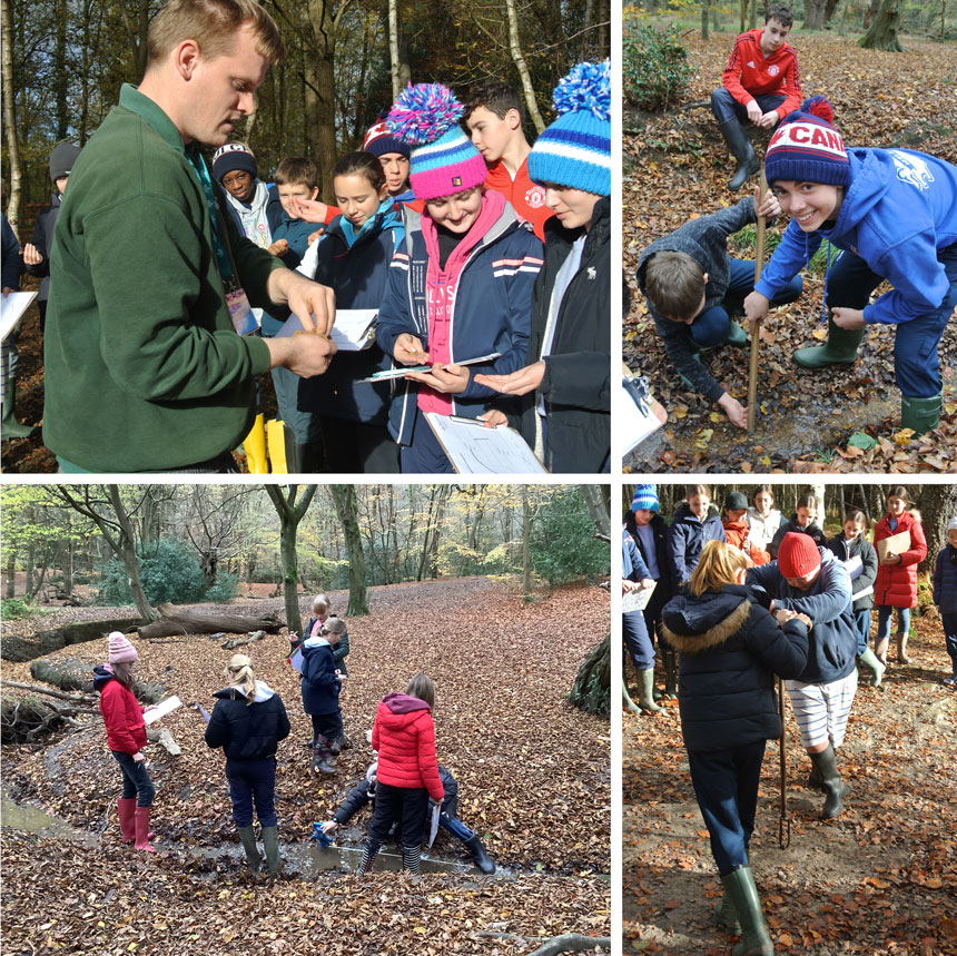 children in a wood looking at soil samples in a river