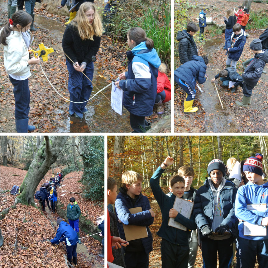 children in a wood looking at soil samples in a river