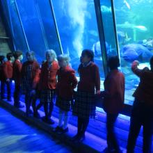 a row of children standing in front of a large fish tank